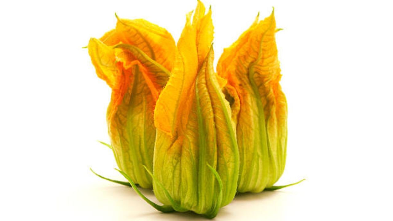 গরম ভাতে কুমড়ো ফুলের বড়া দিয়ে মাখিয়ে খেতে বেশ লাগে। আর মাছের ঝোল হলে তো কথাই নেই। তবে জানেন কি এই মাছের ঝোল দারুণ ভাবে রান্না করা যায় কুমড়ো ফুলের বড়া দিয়ে। আর মাখা মাখা সেই তরকারি খেতেও লাগে খুব ভাল