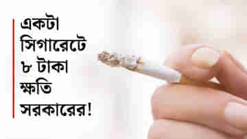 Cigarette Economy: একটা সিগারেট দেশকে কতটা ফতুর করছে জানলে আজই খাওয়া ছেড়ে দেবেন