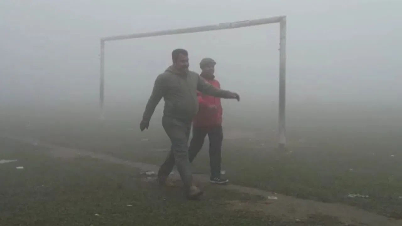 Winter in Bengal: বাংলায় এখন 'ফগ চল রহা হ্যায়'! পারাপতনে কেমন থাকবে সকালের দৃশ্যমানতা?