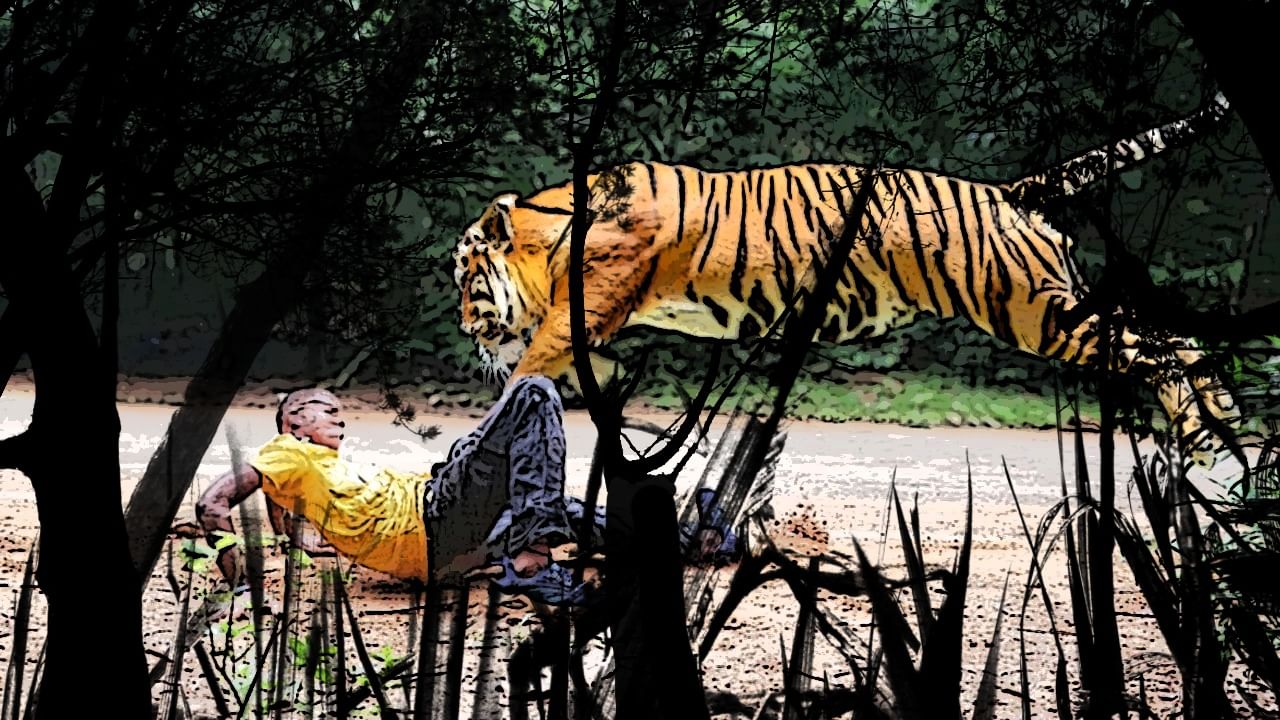 Sundarban Tiger Attack: সুন্দরবনে আবার বাঘে-মানুষে মুখোমুখি! কাঁকড়া