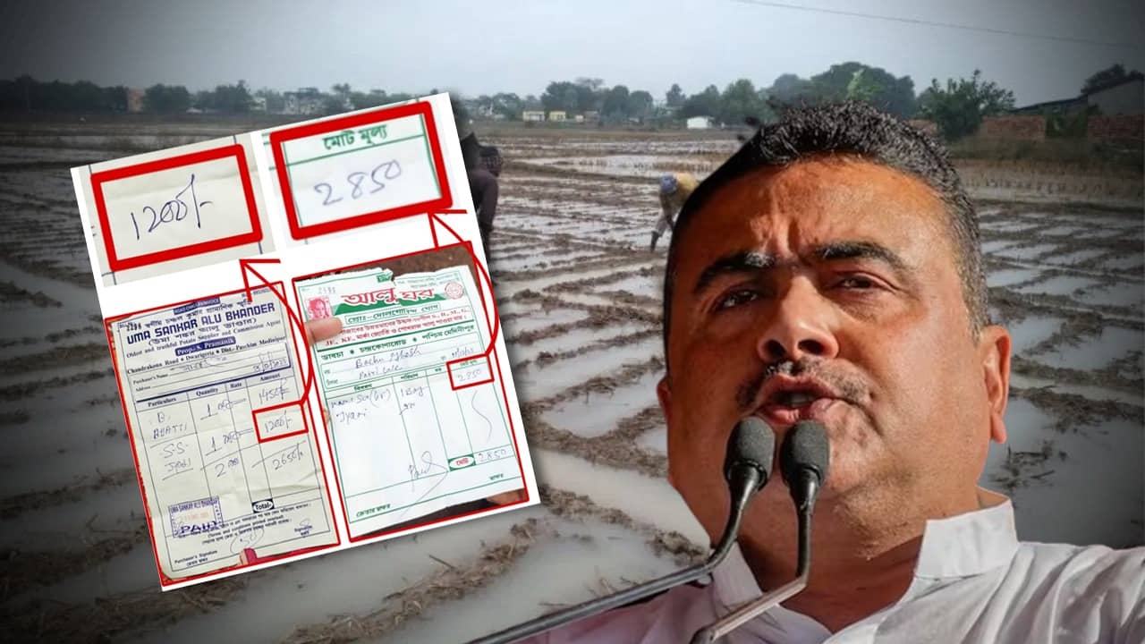 Suvendu Adhikari: অকাল বৃষ্টি কাটতেই আলু বীজের দামে ডবল জাম্প! নবান্নে চিঠি শুভেন্দুর