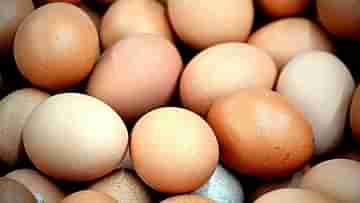 Egg Price Hike: শীত পড়তেই BPL থেকে APL হয়ে গেল ডিম!