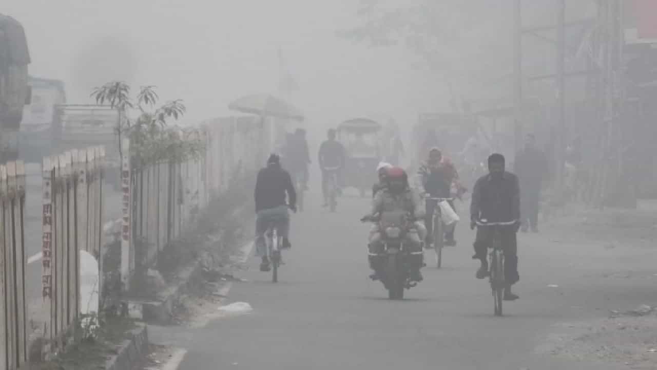 Weather News: বাংলায় তো শুধু 'ফগ' চলছে, কুয়াশায় ঢাকা পুরুলিয়া থেকে ধূপগুড়ি Weather News: বাংলায় তো শুধু 'ফগ' চলছে, কুয়াশায় ঢাকা পুরুলিয়া থেকে ধূপগুড়ি