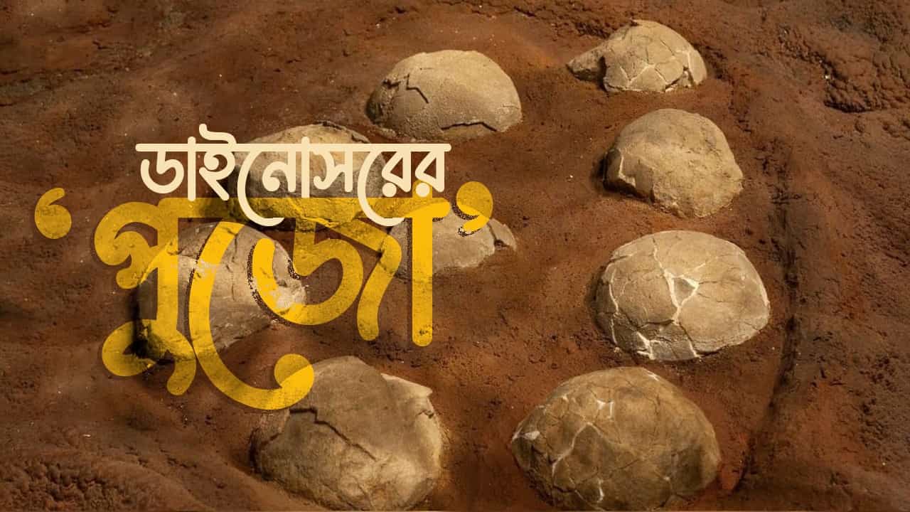 Madhya Pradesh: বংশ পরম্পরায় হয়ে আসছে ডাইনোসরের পুজো! মধ্যপ্রদেশের ঘটনায় তাজ্জব হয়ে যাবেন Madhya Pradesh: বংশ পরম্পরায় হয়ে আসছে ডাইনোসরের পুজো! মধ্যপ্রদেশের ঘটনায় তাজ্জব হয়ে যাবেন