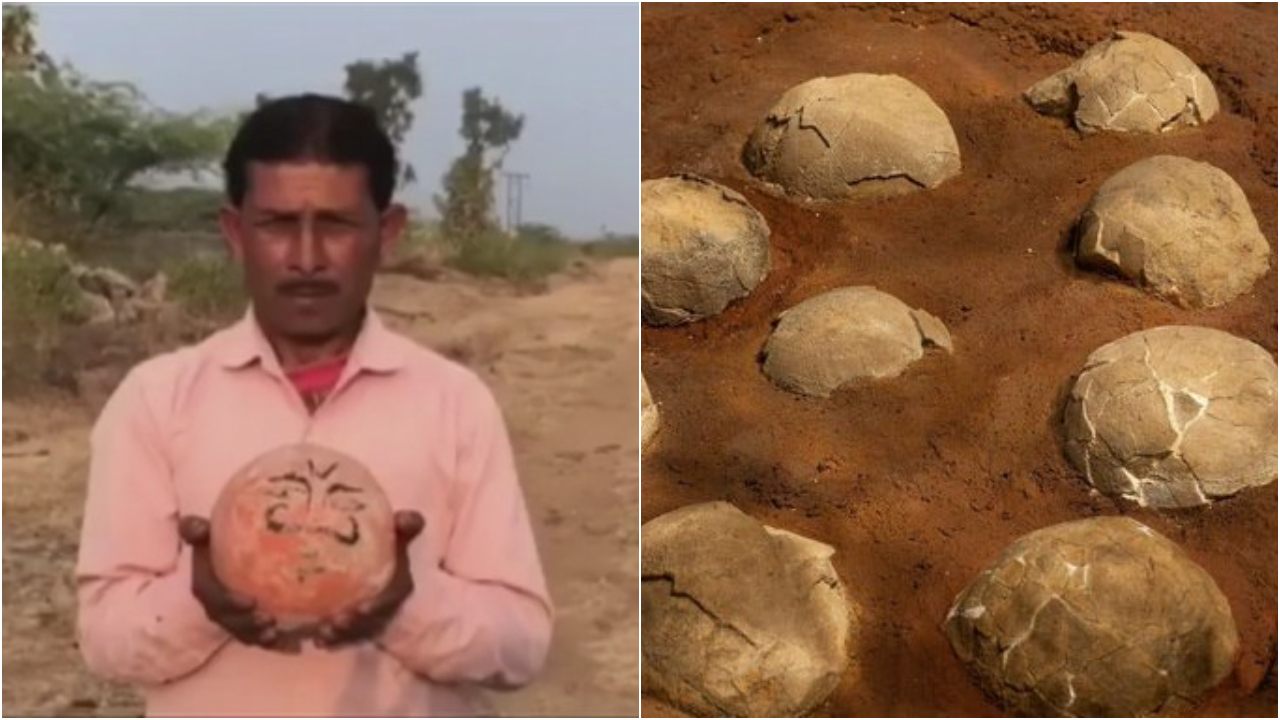 Madhya Pradesh dinosaur eggs: কয়েক শতাব্দী ধরে ডাইনোসরের ডিমের পুজো হত ভারতের এই গ্রামে!