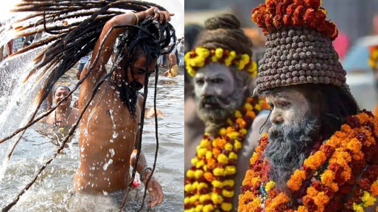 নাগা সাধুরা কোথায় থাকেন, কী খান বা কীভাবে জীবিকা নির্বাহ করেন, তা অগোচরেই থাকে। সাধারণ মানুষের কাছে এইসব তথ্য এসে পোঁছায় না। আসলে, এই নাগা সাধুদের জগৎ বেশ গোপন ও রহস্যময়।