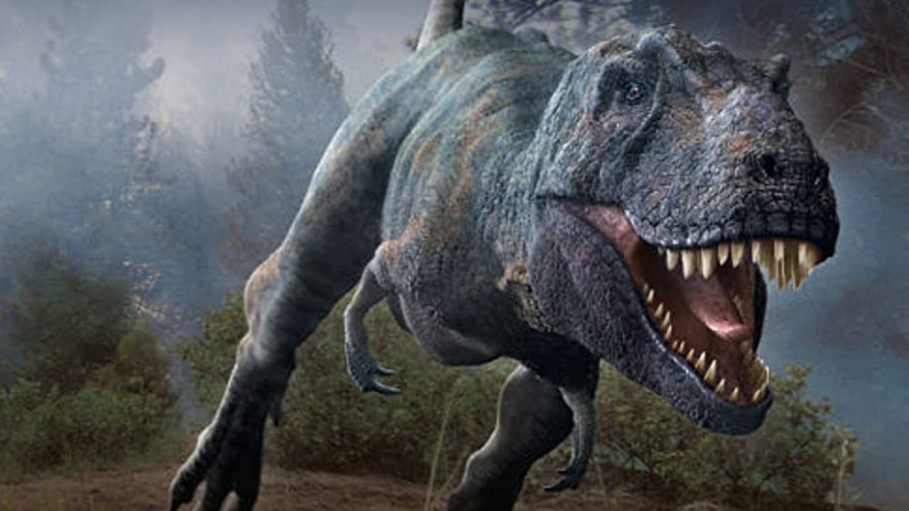 Old Dinosaur Fossil: এই ডাইনোসর পাখির মতো  ঘুমোতো