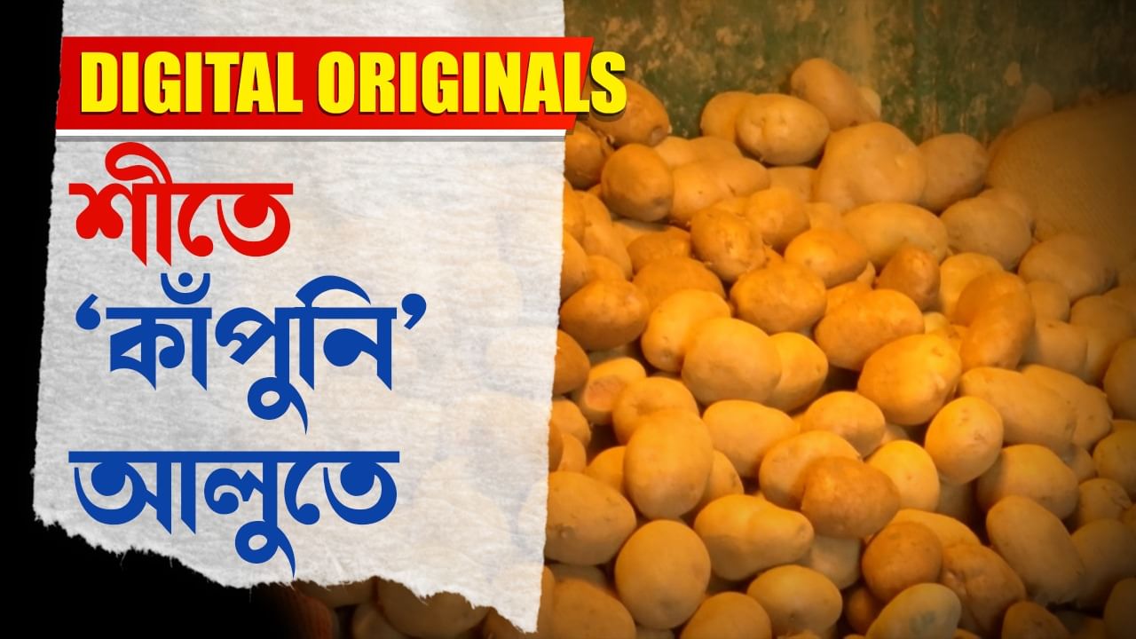 Potato Price Hike: আবার বাড়তে পারে আলুর দাম