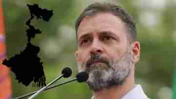 Rahul Gandhi: জানি, বাংলায় কংগ্রেসকে শেষ করেছে তৃণমূলই, বৈঠকে রাহুল গান্ধীর বড় কথা