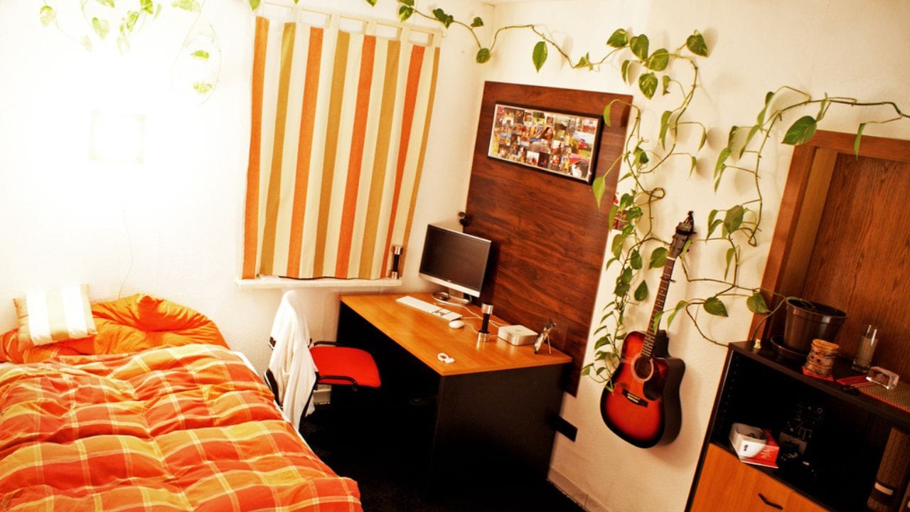 অনেকে বাড়িতে মানি প্ল্যান্ট সাজিয়ে রাখতে পছন্দ করেন। অর্থাভাব কাটাতে ও সংসারে সমৃদ্ধি বয়ে আনতে এই প্ল্যান্টের গুরুত্বপূর্ণ অবদান রয়েছে। কিন্তু সঠিক নিয়মটি মেনে চলেন না , বা জানেন না। মানি প্ল্যান্টের সদ্ব্যবহার করার জন্য, সঠিক পথে থাকা অত্যন্ত গুরুত্বপূর্ণ সংসারে আসবে পডিজিটিভি ও সুখ-সমৃদ্ধি