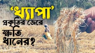 মহাকাশে ‘টমেটো’ হারিয়ে ফেলেছিলেন বিজ্ঞানী, ধরাধামে ফেরার 8 মাস পর মিলল খোঁজ!