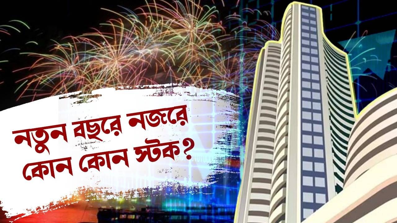 Share Market: নতুন বছরে লক্ষ্মীলাভের আশা করছেন? নজর থাকুক এই শেয়ারগুলিতে