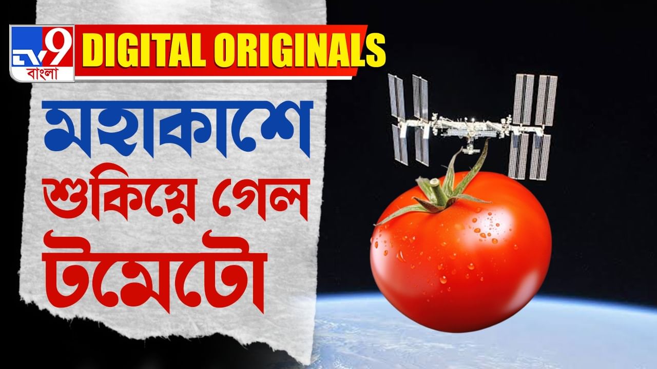 Tomato In Space: কেন মহাকাশে শুকিয়ে গেল টম্যাটো?