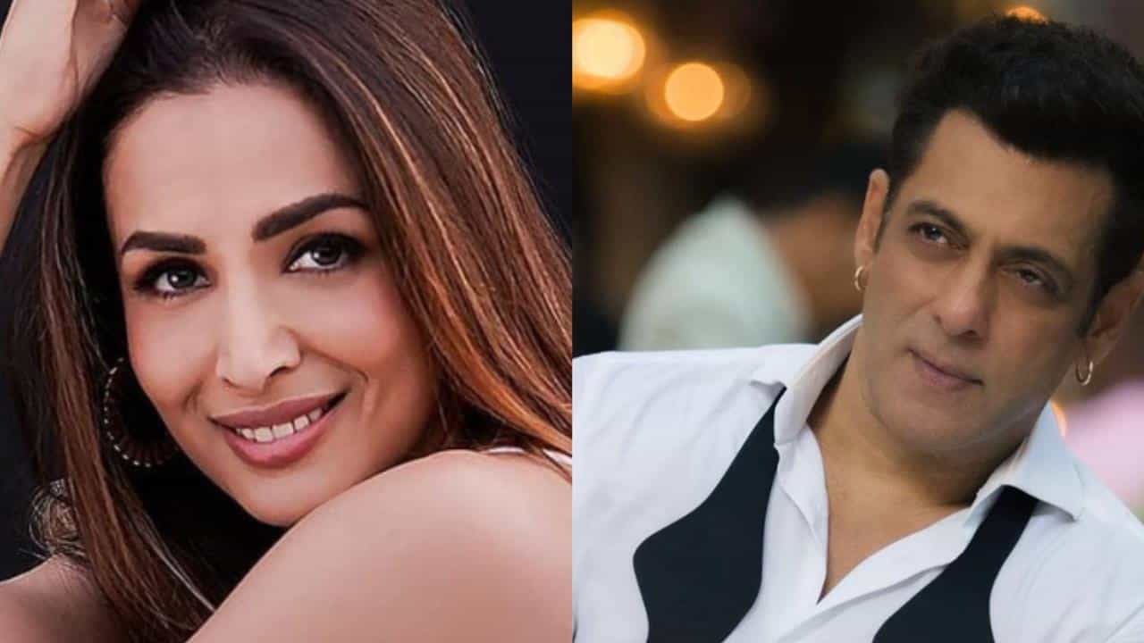 সলমনের জন্যই ঘর ভাঙে আরবাজের, মালাইকার জীবনে গোপন প্রেমের কারণ ভাইজান? সলমনের জন্যই ঘর ভাঙে আরবাজের, মালাইকার জীবনে গোপন প্রেমের কারণ ভাইজান?
