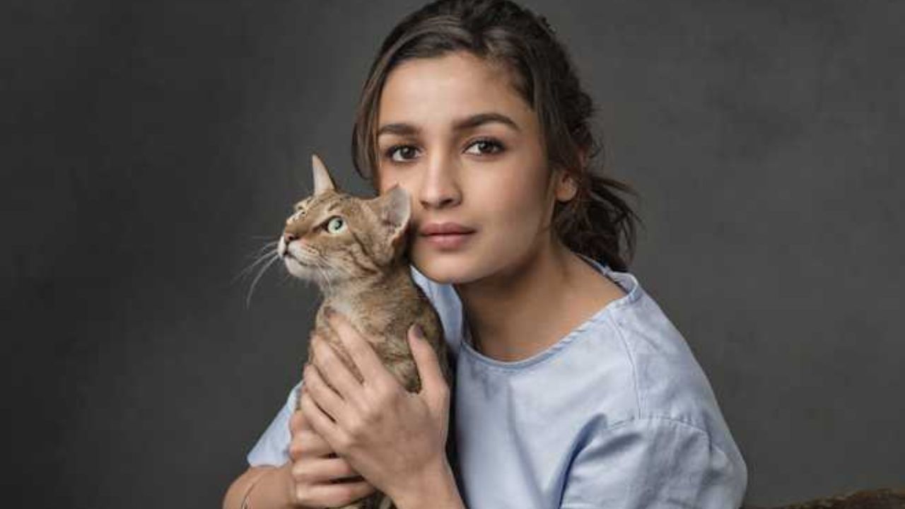 Alia Bhatt on Animal: হঠাৎ করেই রণবীরকে 'খতরনাক' মনে হচ্ছে আলিয়ার; শ্বশুরবাড়িতে ভাল আছেন তো অভিনেত্রী?