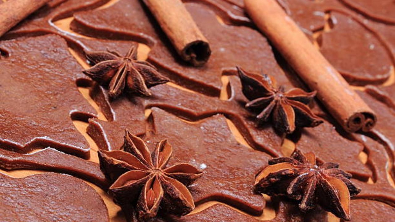 chocolate sandesh (8)