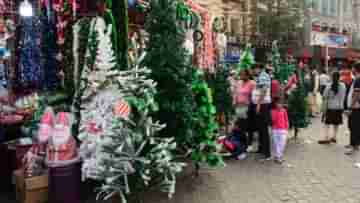 Christmas Festival: বড়দিনের উৎসবে সাজছে পার্ক স্ট্রিট থেকে বো ব্যারাক, কবে থেকে শুরু ক্রিসমাস ফেস্টিভ্যাল?