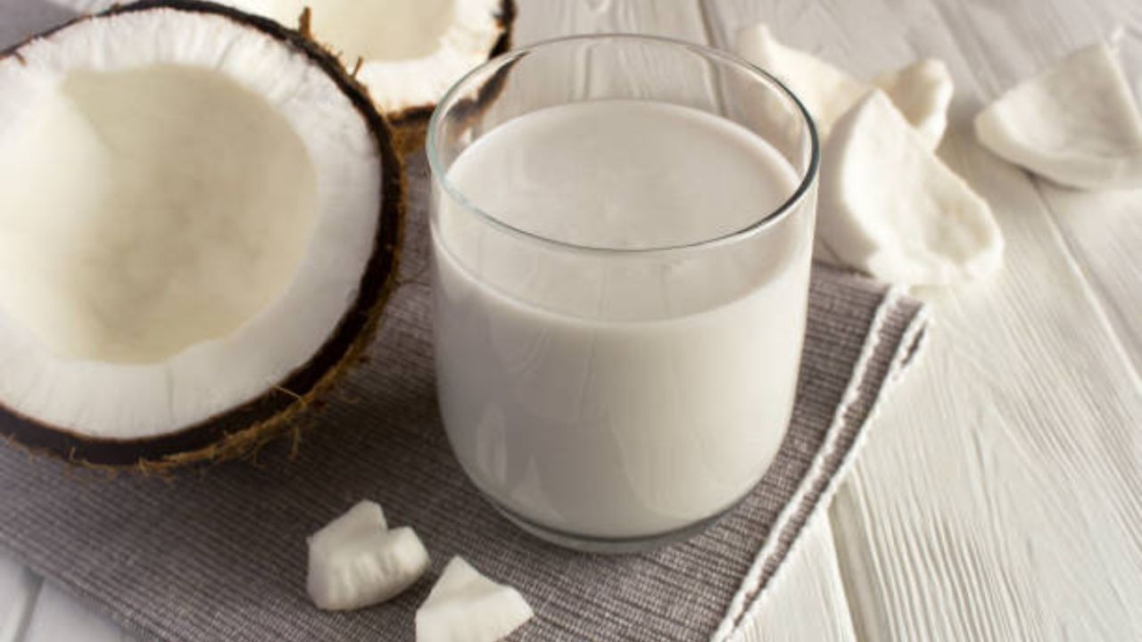 coconut milk (6)