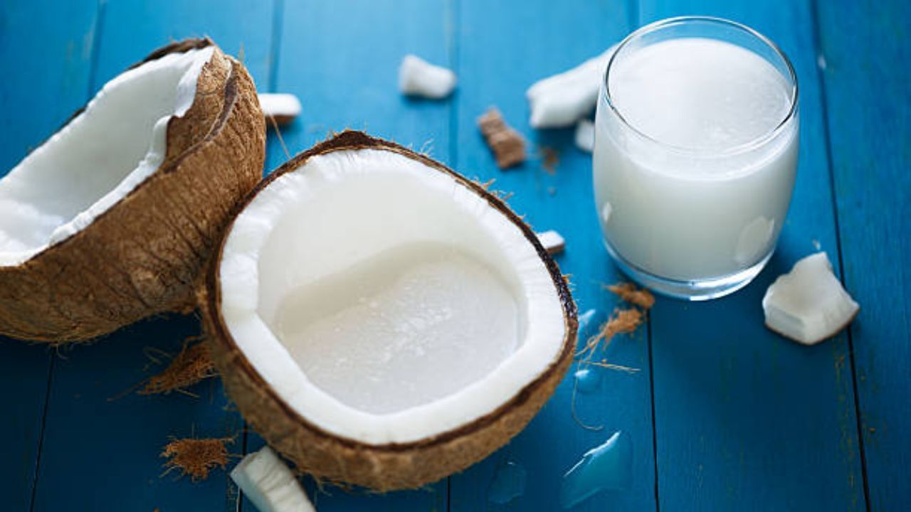 coconut milk (7)