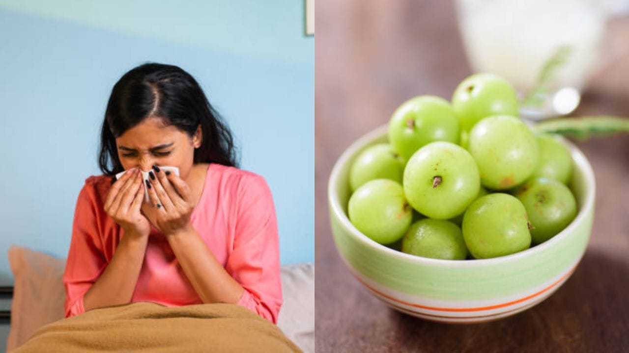 Cold and Cough: ঠান্ডা লাগার ধাত যাঁদের বারো মাস, শীতে তাঁদের সঙ্গী হোক এই ৫ খাবার Cold and Cough: ঠান্ডা লাগার ধাত যাঁদের বারো মাস, শীতে তাঁদের সঙ্গী হোক এই ৫ খাবার