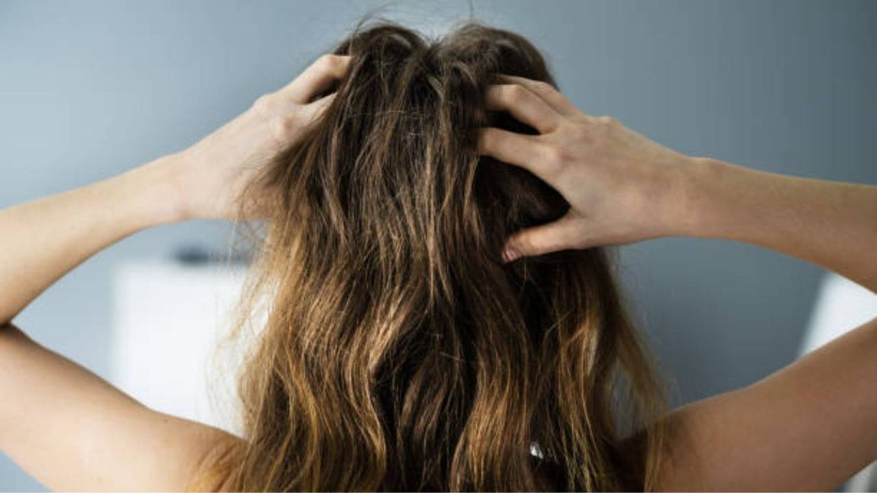 Dry Scalp: শুষ্ক ত্বক ও চুলের যত্ন নিয়ে স্ক্যাল্পকে ভুলবেন না, এই ভুলেই বাড়ে খুশকি