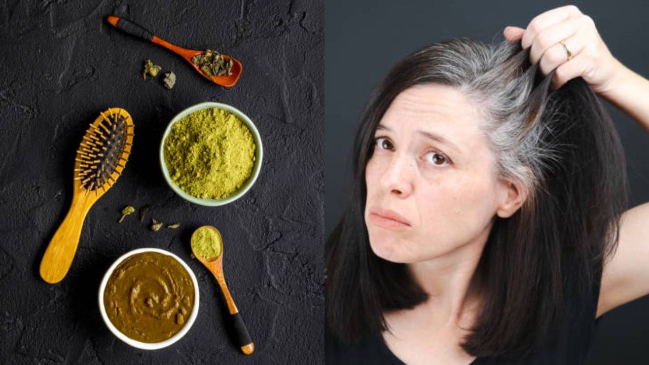 হেনায় এই দুই উপাদান মিশিয়ে মাখলে পাকা চুলে কালচে ভাব টিকে থাকবে টানা ১ মাস