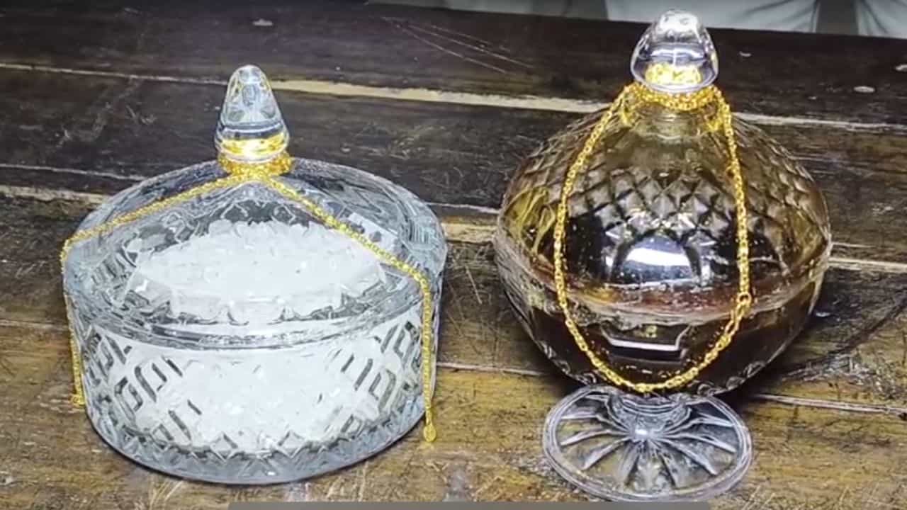 Snake Poison: অ্যাম্পুলে ভরা কোটি টাকার বিষ, নিজাম প্যালেস থেকে খবর যেতেই ছুটল বন দফতর Snake Poison: অ্যাম্পুলে ভরা কোটি টাকার বিষ, নিজাম প্যালেস থেকে খবর যেতেই ছুটল বন দফতর