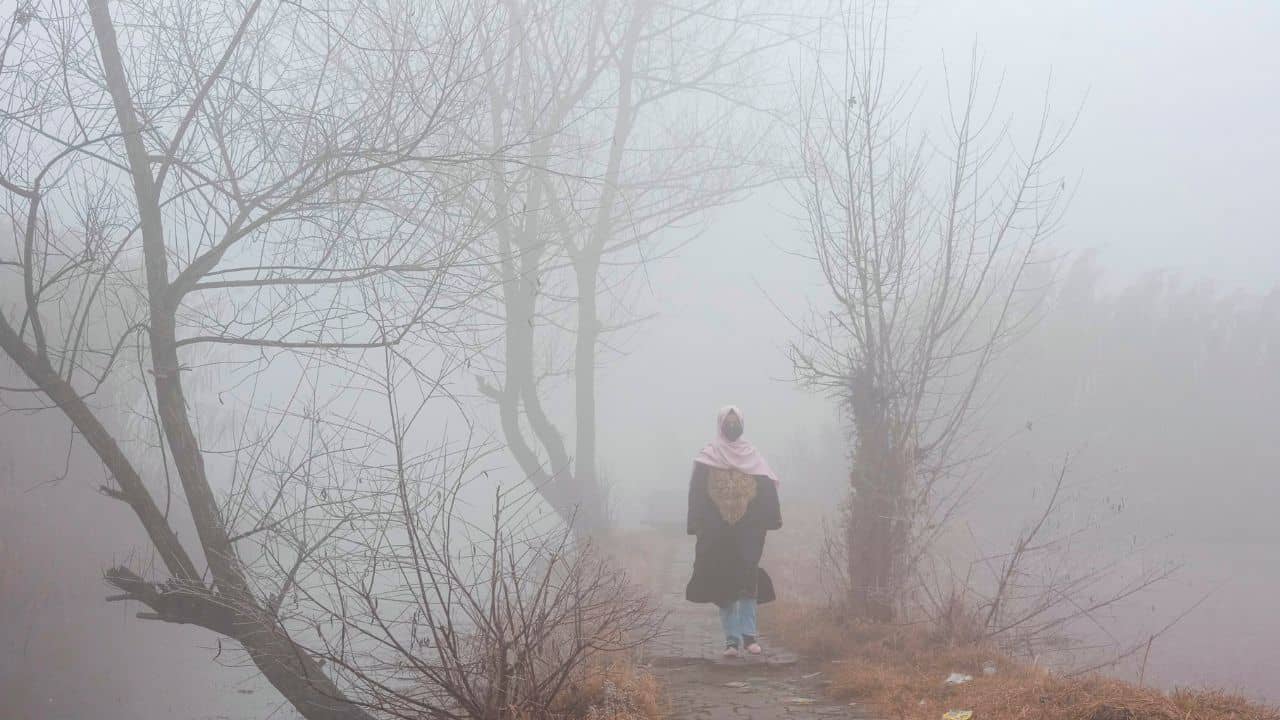 Weather Update: ফ্রম লাহোর টু মালদহ...! বর্ষশেষে আবহাওয়া দফতরের বড় আপডেট