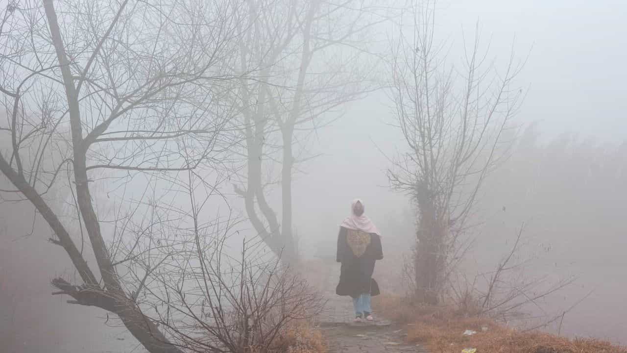 Weather Update: 'ফ্রম' লাহোর 'টু' মালদহ...! বর্ষশেষে আবহাওয়া দফতরের বড় আপডেট Weather Update: 'ফ্রম' লাহোর 'টু' মালদহ...! বর্ষশেষে আবহাওয়া দফতরের বড় আপডেট