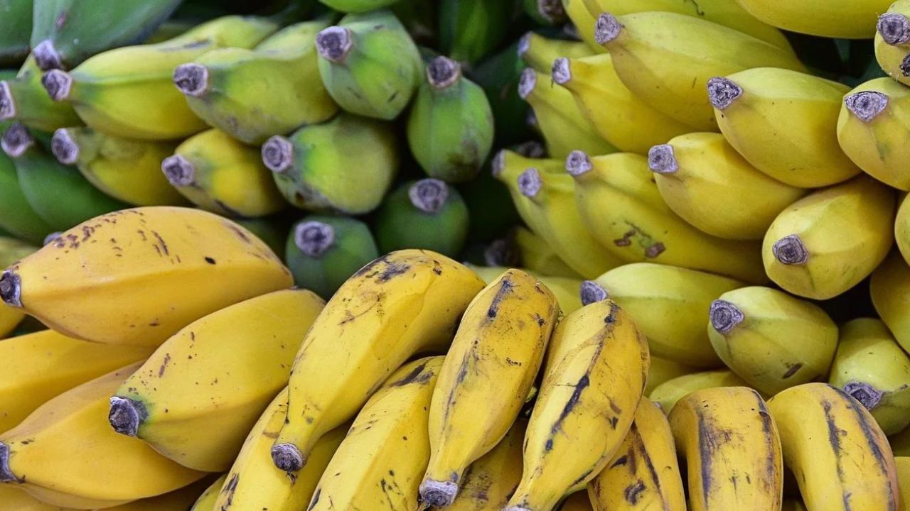 Banana Export: শুধুমাত্র কলা বিক্রি করে ৮৩০০ কোটি আয়! কীভাবে সম্ভব?