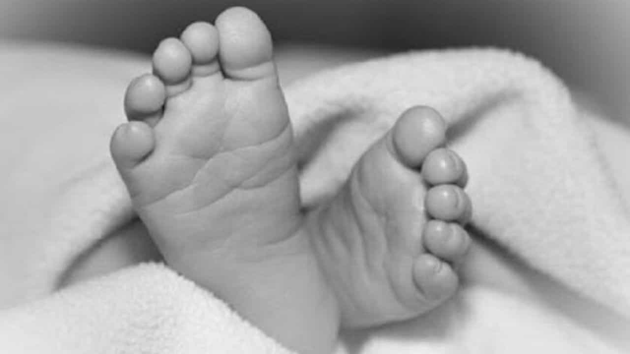Child death: পাকিস্তানে ২০ দিনে ২০০-র বেশি শিশুর মৃত্যু, কেন জানেন?