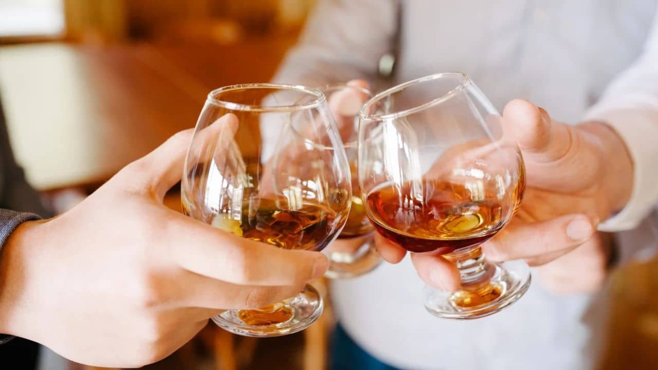 No Dry Day: ২০ বছর পর ড্রাই ডে থেকে মুক্তি, এই রাজ্যে মদের উপর থেকে নিষেধাজ্ঞা প্রত্যাহার সরকারের