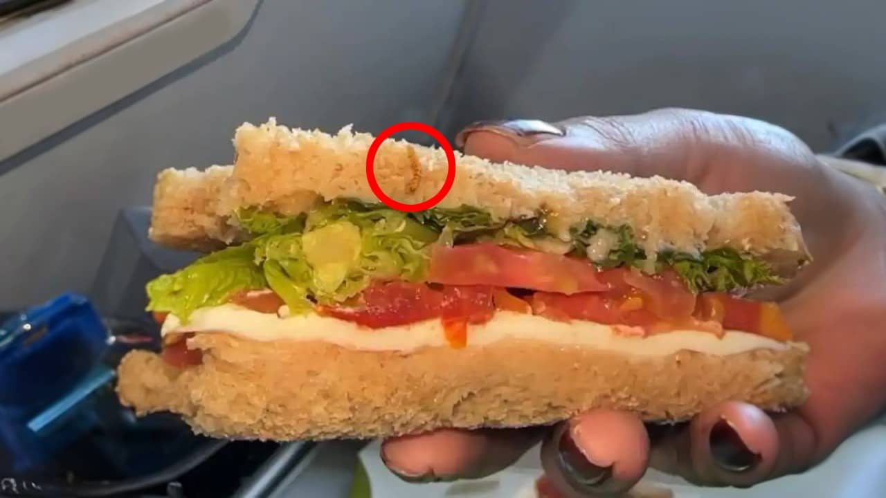 Video: মাঝআকাশে স্যান্ডউইচ খেতে গিয়ে পোকা পেলেন যাত্রী, কী বলল বিমান কর্তৃপক্ষ?