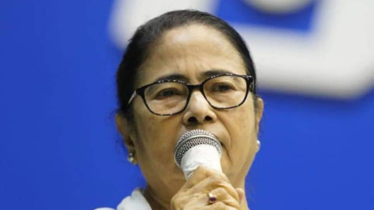 Mamata Banerjee: নীল-সাদা তো আকাশের রং... সীমাহীন, কেন্দ্রকে জবাব মমতার