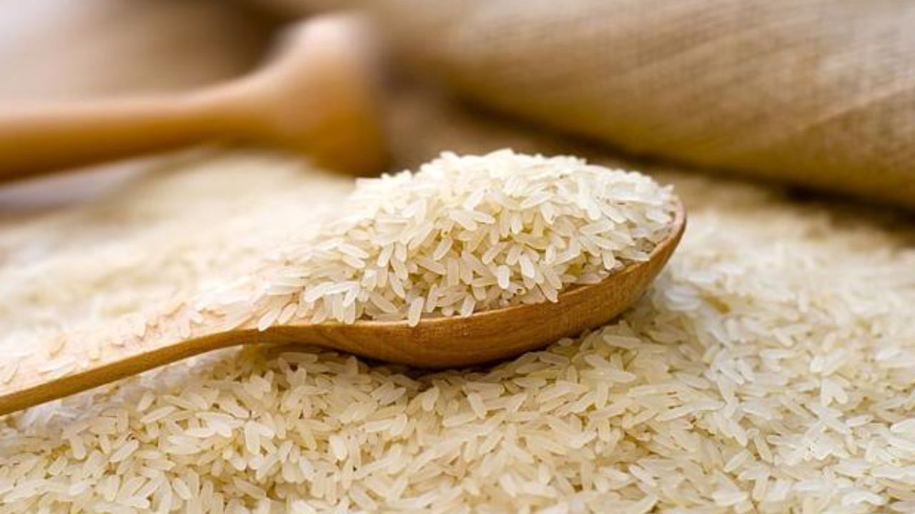 Bharat Rice Price: সস্তায় বিক্রি হবে 'ভারত চাল', কত দাম? কোথা থেকে কিনবেন? Bharat Rice Price: সস্তায় বিক্রি হবে 'ভারত চাল', কত দাম? কোথা থেকে কিনবেন?