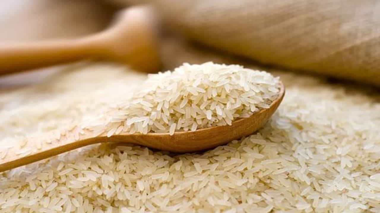 Bharat Rice Price: সস্তায় বিক্রি হবে 'ভারত চাল', কত দাম? কোথা থেকে কিনবেন? Bharat Rice Price: সস্তায় বিক্রি হবে 'ভারত চাল', কত দাম? কোথা থেকে কিনবেন?