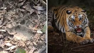 Saokat Molla: শওকতের ফেসবুক স্টেটাসে মহিলার উন্মুক্ত শরীর, ‘হ্যাক হয়েছে’ বললেন বিধায়ক