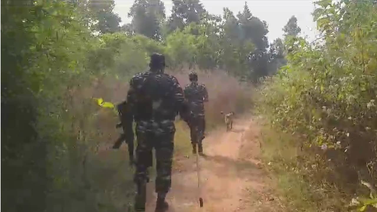 Jangalmahal: জঙ্গলমহলে ফের ভারী বুটের শব্দ, কেন্দ্রীয় জওয়ান ঘুরছে... কী হল আবার?