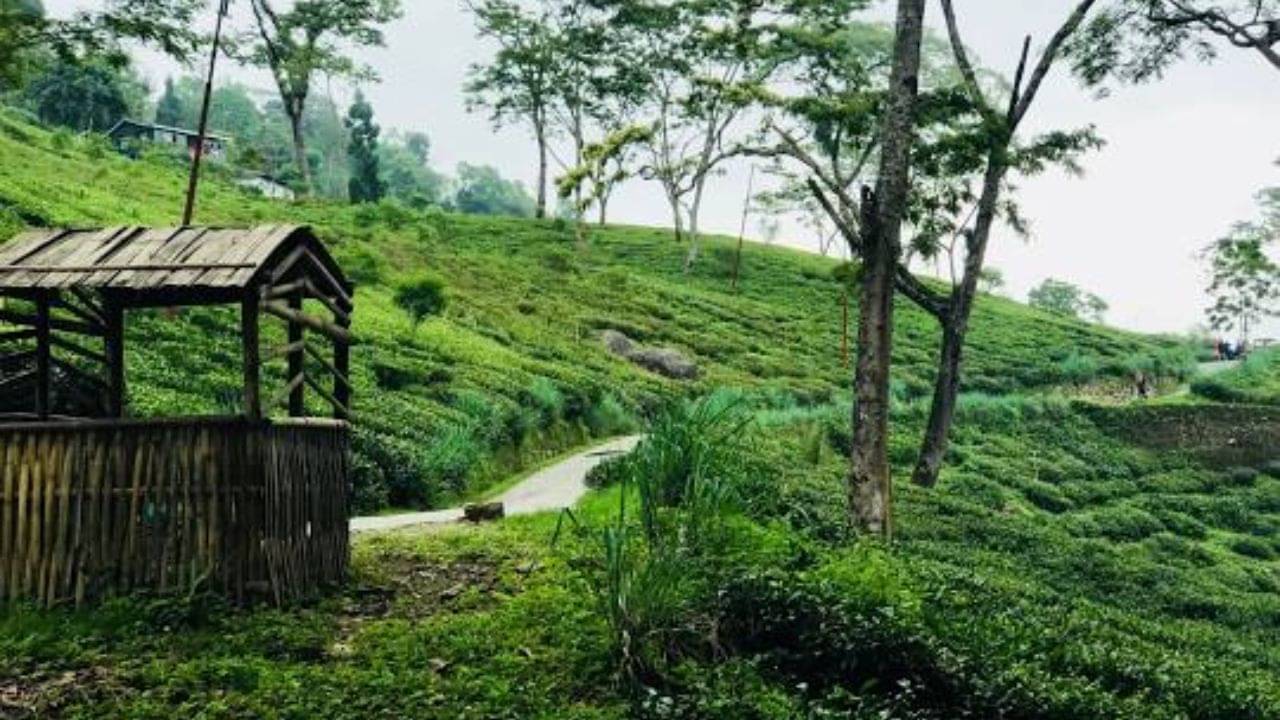Offbeat Darjeeling: ডিসেম্বরের শেষে দার্জিলিং না গিয়ে চলুন এই অফবিটে, পাশে পাবেন নেপালকেও