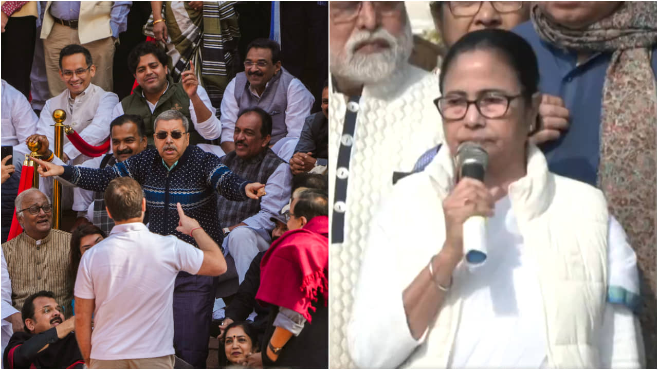 Jagdeep Dhankhar mimicry: রাহুল ভিডিয়ো না তুললে..., ধনখড়কে ভেঙানো প্রসঙ্গে মুখ খুললেন মমতা