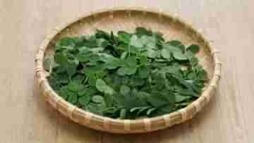 Moringa Leaves: ডাঁটা বা ফুল নয়, শীতকালে সজনে পাতাতেই বাড়বে ইমিউনিটি আর বিয়ে বাড়ি খেয়েও কমবে ওজন