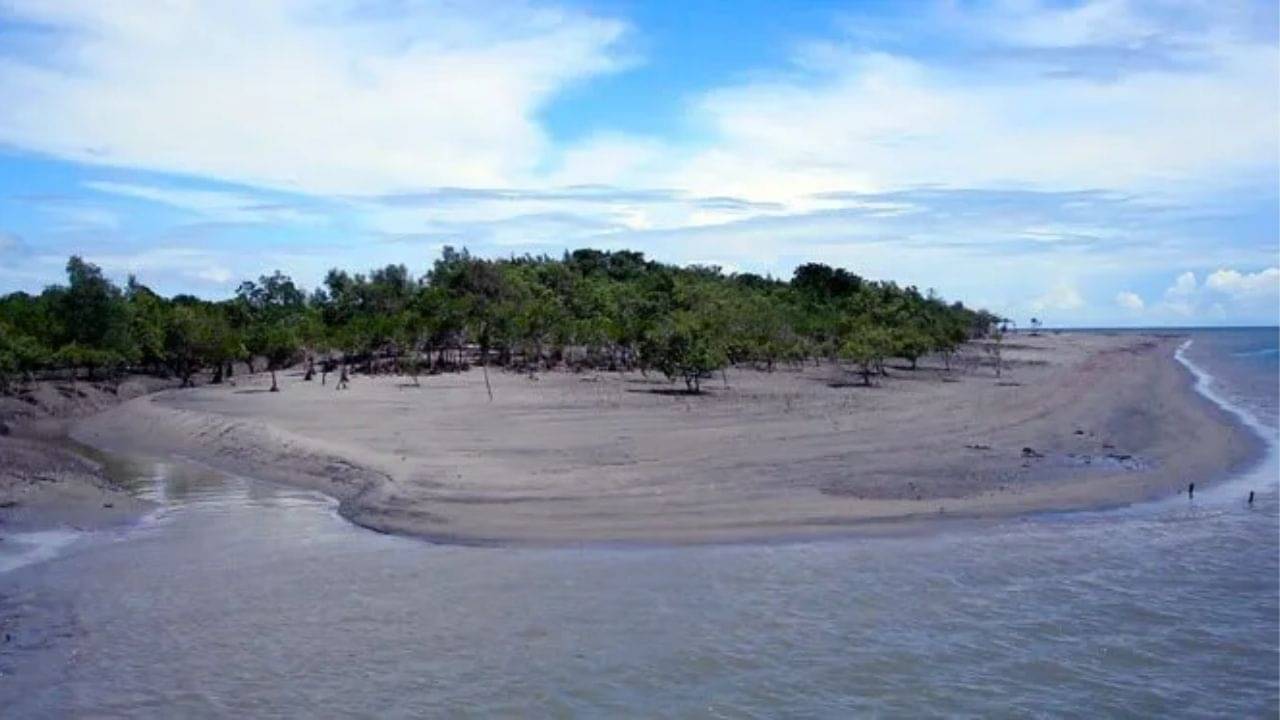 Picnic Spots near Kolkata: টাকি বা দেউলটি নয়, এবার শীতে পিকনিকের জন্য বেছে নিন এই ৩ জায়গা