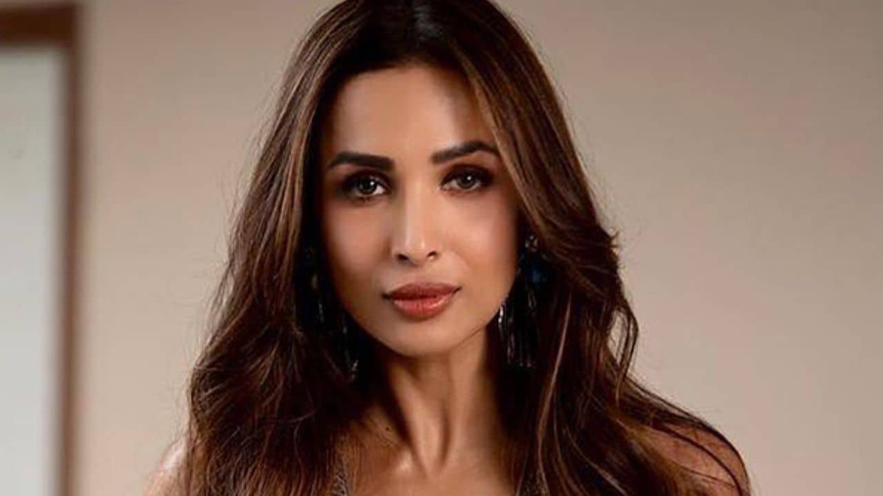 আরবাজ বিয়ে করেছেন, পাশে নেই অর্জুনও? মালাইকার একমাত্র সঙ্গী...