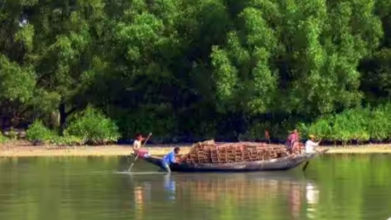 তিন কোনা দ্বীপ - নামের মতো সত্যি সত্যিই এই দ্বীপটি ত্রিভুজাকার। প্রকৃতিকে উপভোগ করার আদর্শ জায়গা। তবে, এটা কিন্তু রয়েল বেঙ্গল টাইগারের ডেরা। 