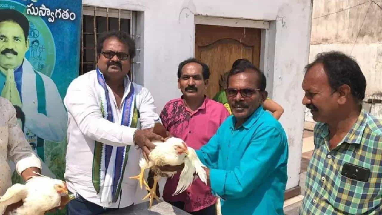 VIDEO: কলেজের ক্লাসরুম থেকেই মদ, মুরগি বিলি বিধায়কের VIDEO: কলেজের ক্লাসরুম থেকেই মদ, মুরগি বিলি বিধায়কের