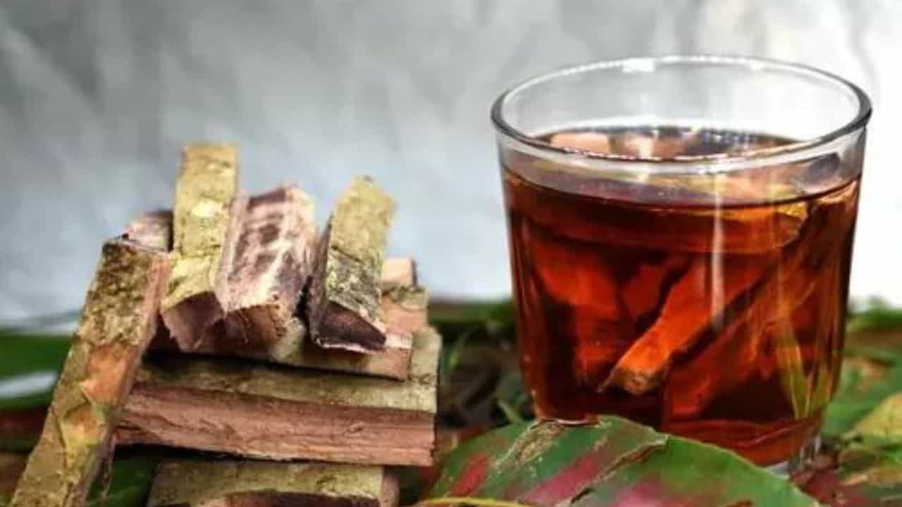 Arjuna Bark Tips: ঋণের বোঝা ঘাড় থেকে নামছেই না! অর্জুন ছালের প্রতিকারেই হু হু করে বাড়বে অর্থলাভ Arjuna Bark Tips: ঋণের বোঝা ঘাড় থেকে নামছেই না! অর্জুন ছালের প্রতিকারেই হু হু করে বাড়বে অর্থলাভ