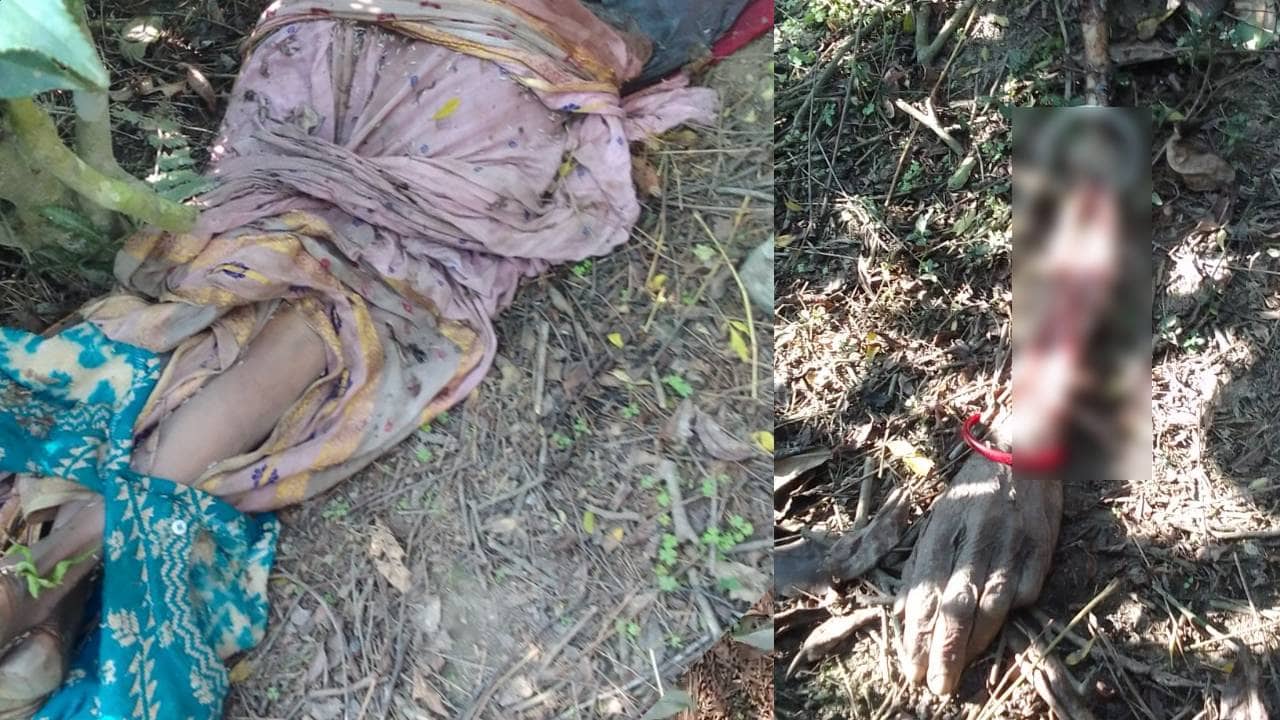 Jalpaiguri: উড়ছে মাছি, মাটিতে মিশছে দেহাংশ, বানারহাটে মহিলার পচাগলা দেহ উদ্ধার হতেই শোরগোল