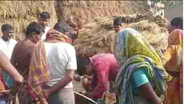 Nanur: আবারও নৃশংসতা বীরভূমে! দলা পাকানো, কুণ্ডলীকৃত অবস্থায় রাস্তায় ছড়িয়ে ছিটিয়ে সাত-সাতটি খুদের দেহ