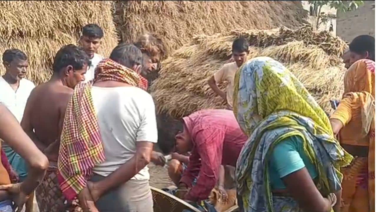 Nanur: আবারও নৃশংসতা বীরভূমে! দলা পাকানো, কুণ্ডলীকৃত অবস্থায় রাস্তায় ছড়িয়ে ছিটিয়ে সাত-সাতটি খুদের দেহ
