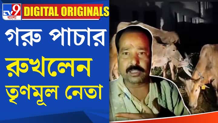 Cattle Smuggling: গরু পাচার মামলায় যখন অনুব্রত মণ্ডল জেলে, তখন নজির গড়লেন তৃণমূল নেতা Cattle Smuggling: গরু পাচার মামলায় যখন অনুব্রত মণ্ডল জেলে, তখন নজির গড়লেন তৃণমূল নেতা